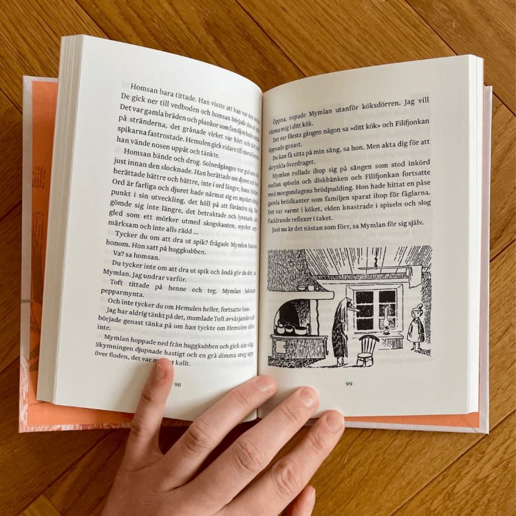 Sent i November  Tove Jansson, czyli "Dolina Muminków w listopadzie" w oryginale, po szwedzku 4