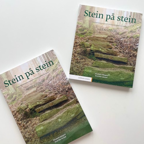 Stein på stein Arbeidsbok Ćwiczenia do nauki norweskiego na poziomie B1 2