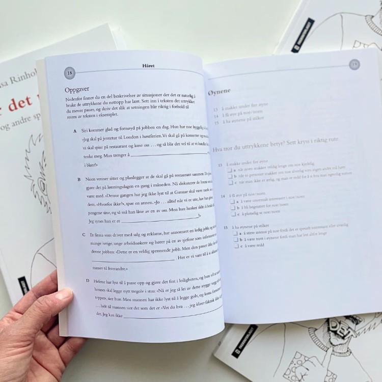 har-det-pa-tunga-norwegian 4.jpg