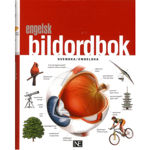 Engelsk bildordbok svenska/engelska.png