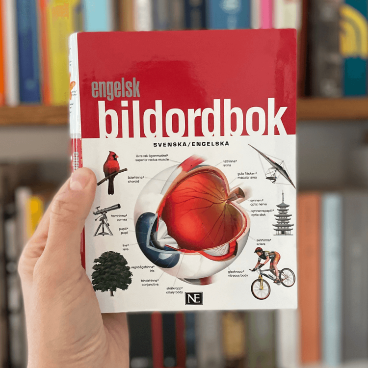 Engelsk bildordbok svenska/engelska.png