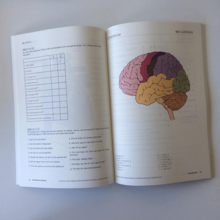 Kroppen på svenska - język szwedzki medyczny