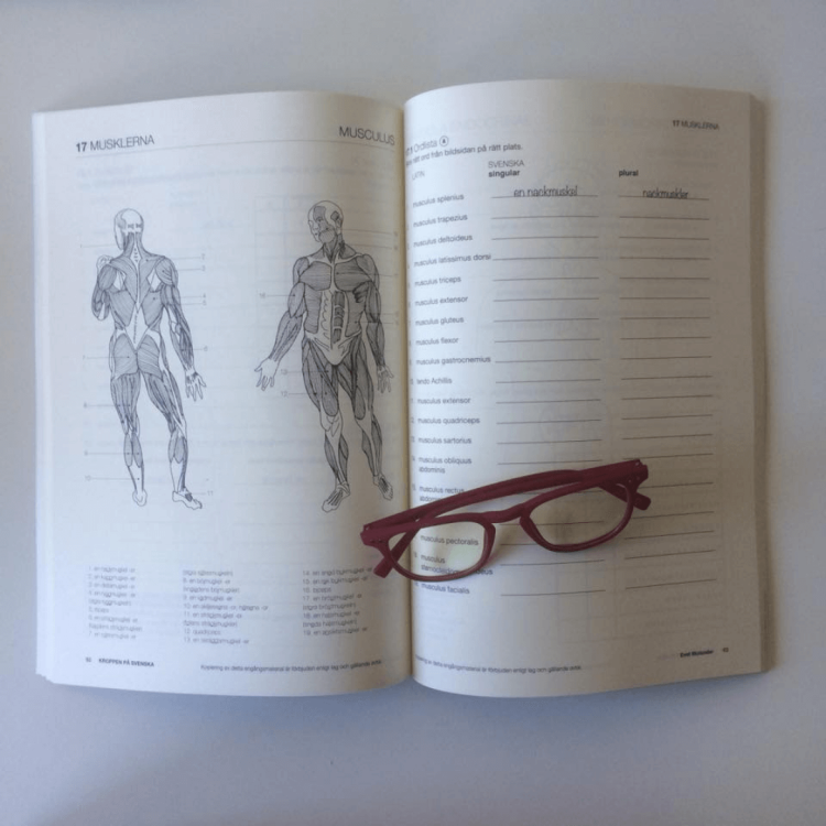 Kroppen på svenska - język szwedzki medyczny