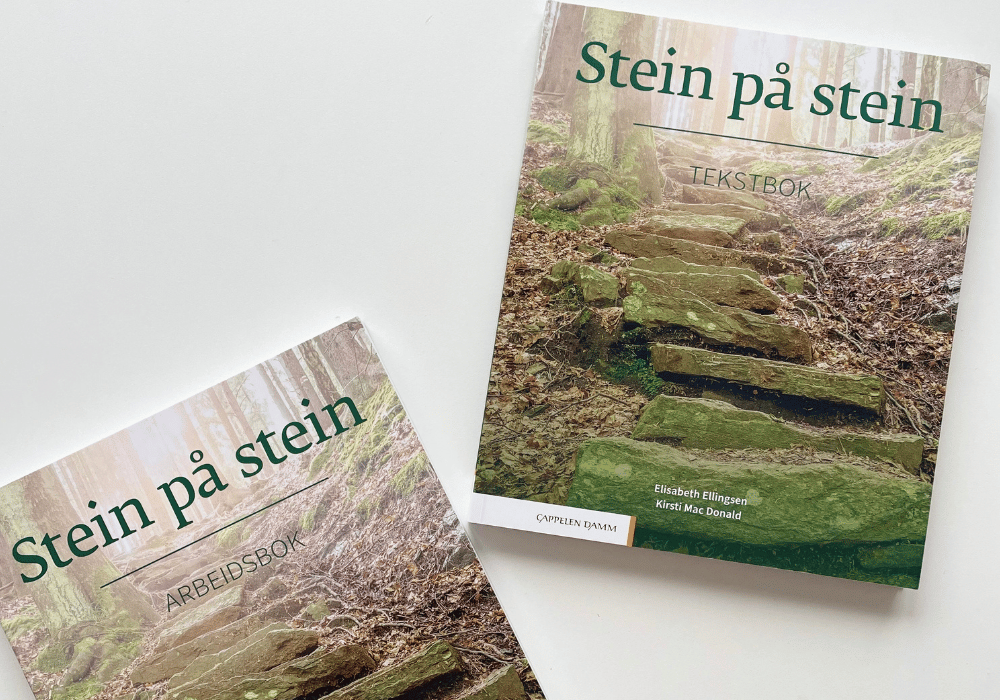 Textbooks for learning Norwegian - Stein pa stein