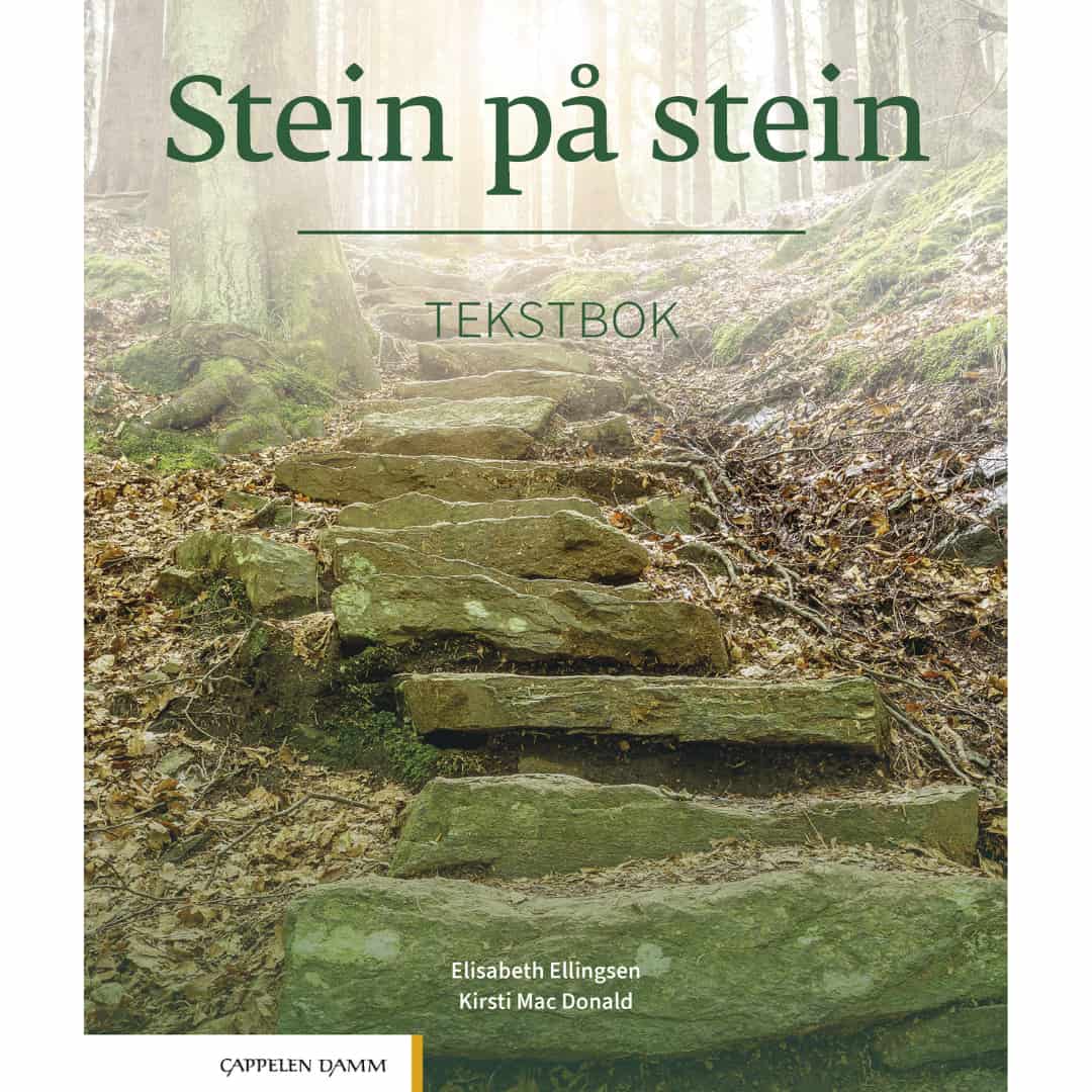 Stein på stein Tekstbok Podręcznik do nauki norweskiego na poziomie B1 1